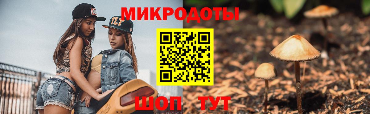Королёв  где купить   Вход с VPN  Галлюциногенные грибы мицелий 